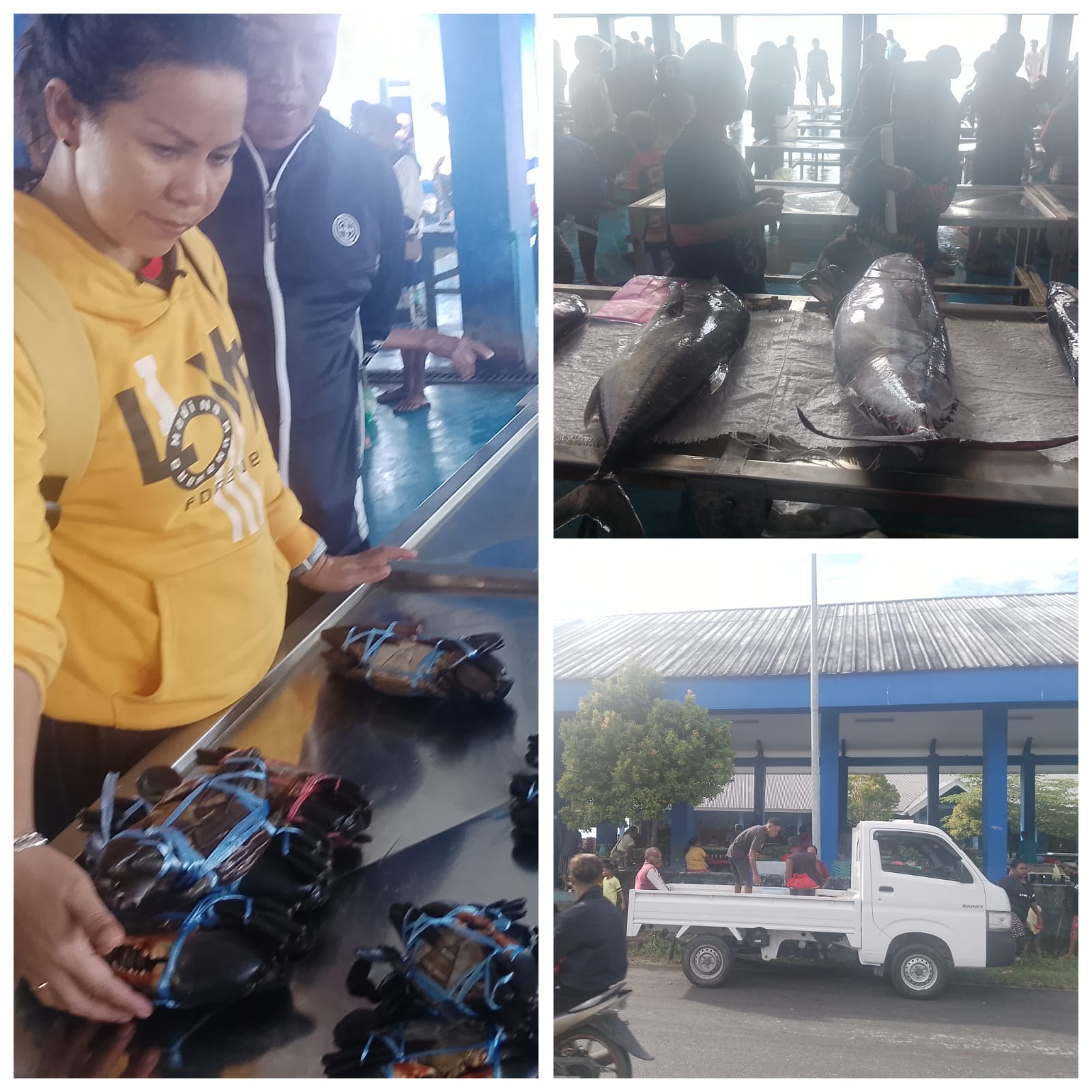 PASAR BOSNIK PASCA HARI NATAL