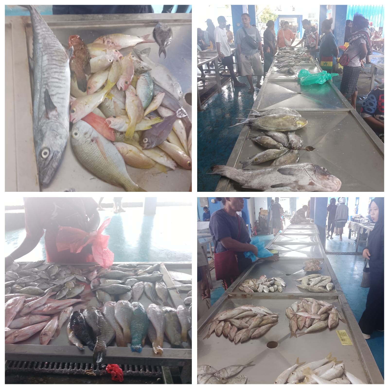 PASAR BOSNIK TGL 17 - 02 - 2026